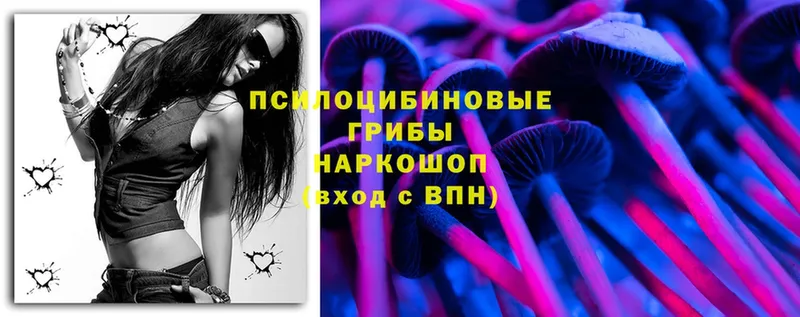 Псилоцибиновые грибы Magic Shrooms  где продают наркотики  Тольятти 